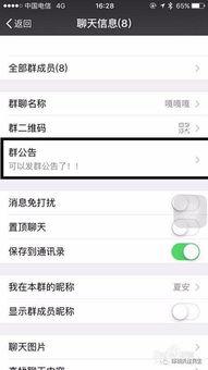 吃瓜群众网qq群,网络社交的“瓜田”盛景
